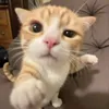 AlexanderBoo - @bo.b695 - TikTok