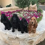 Alexander Bob - @boblexzy003 - Instagram