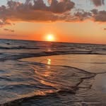 alexander borghi - @borghialexander - Instagram