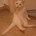 Alexander Botos - Facebook