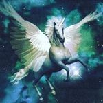 @alexander.bowen_lol_2031 - Instagram