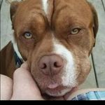 Alexander Brady - @alexander.brady.5249 - Instagram