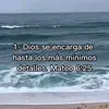 Alexander - @alexanderbrito039 - TikTok