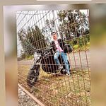 Alexander Brito - @alexander.brito.735944 - Instagram