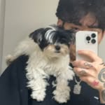 Alexander Bui - @buienciaga - Instagram