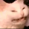 Alexander Carrera - @_fazetesticles_ - TikTok