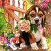 Alexander Casso - Facebook