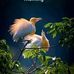 Alexander Cherian - Facebook