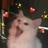 𝓐𝓵𝓮𝔁𝓪𝓷𝓭𝓮𝓻𝓒𝓵𝓪𝓻𝓸𝓼 - @claros_alexander - TikTok