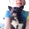Cody Alexander - @cody.alexander20 - TikTok