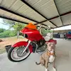Toolose - @codyalexander062 - TikTok