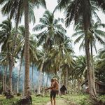 Alexander Coles - @alexandercoles345 - Instagram