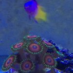 Alexander Conway - @reeferkeeper23 - Instagram