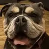 Alexander Conway - @alexander.conway1 - TikTok