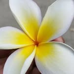 Alexander Gordon Crocker - @alexandercrocker2 - Instagram
