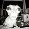 alexanderdecoteau605 - @alexanderdecoteau605 - TikTok