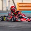 Alexander T - Kart Driver 🏁 - @alexander_t_2013 - TikTok