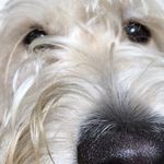 Alexander Duff - @mr.aduff - Instagram