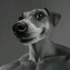 саша 12 лет пошлый - @alexander_dunkel - TikTok