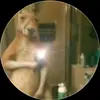 Alexander Escobar - @alexander.escobar423 - TikTok