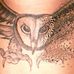 Alexander Fabian - Facebook
