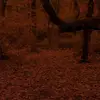Alexander_fall🎃🍁 - @spooky_october2 - TikTok