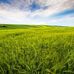 Alexander Farmer - Facebook