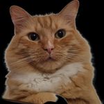 Alexander Z. Feist - @alexander.z.feist - Instagram