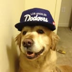 Alexander Fish - @alexanderfish - Instagram
