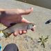 Alexander Fish - Facebook