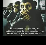 Alexis Falk - Facebook