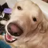 Alexander Fowler - @alexander.fowler2 - TikTok
