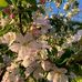 Alexander Gabriel - Facebook