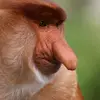 Alexander Gabriel - @alexandergabriel27 - TikTok