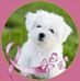 Alexander Gabriel - Facebook