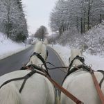 Alexander Gärtner - @alexandergaertner27 - Instagram