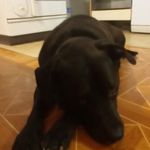 Alexander Gartner - @alexandergartner3 - Instagram