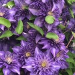 Alexander Geist - @geist413 - Instagram