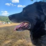 Alexander Gramlich - @alex_carlos194 - Instagram