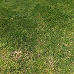 Alexander Griffin - @_alexander_griffin_ - Instagram