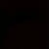 alexandergriggs44 - @alexandergriggs44 - TikTok