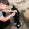 alexanderhackett6 - @alexanderhackett6 - TikTok