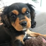 alexander harrison - @harrisonstickle_ - Instagram