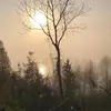 Alexander harrison - @alexanderharrison72 - TikTok