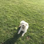 Alexander Heath - @heatheralexander9089 - Instagram