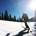 Alexander Hess - @alexander_hess - Instagram