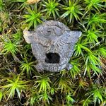 Alexander Heß - @sondengaenger - Instagram