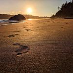 Alexander Hodges - @alexanderhodges62 - Instagram