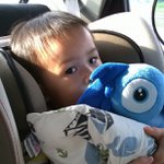 Alexander Hong SF - @alexhongsf - Instagram