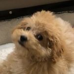 Alexander Hsu - @ahsu114 - Instagram